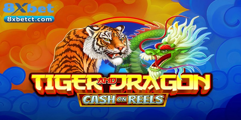 Sức hút giúp Rồng Hổ 8XBET dẫn đầu xu hướng cược online